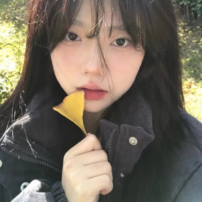 在你的冬夜里闪耀